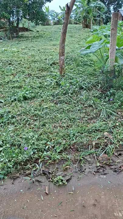 Đất nền Sơn Thành Đông, Tây Hòa, Phú Yên 360m² - Giá chỉ từ 4xx triệu, sổ hồng sang tên ngay!