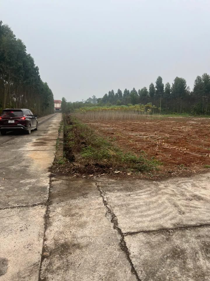 Đất đấu giá Chu Hóa, Việt Trì 300m² giá 3.6 tỷ - Đầu tư lý tưởng cho biệt thự nhà vườn!