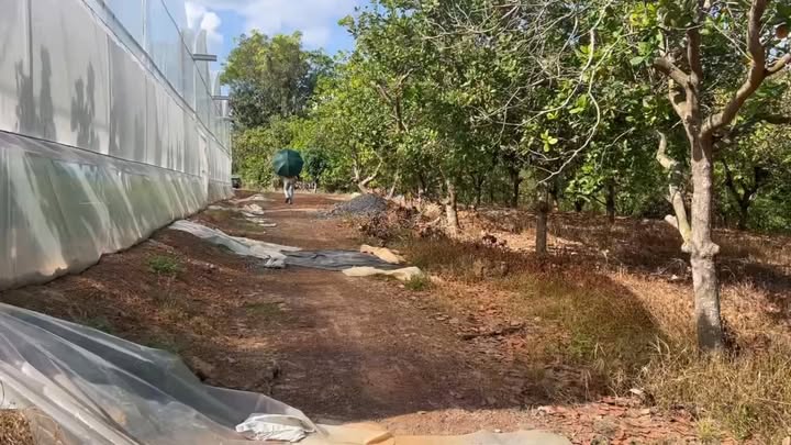 Đất nền Hớn Quản 15.000m² giá 1,1 tỷ - Đầu tư sinh lời ngay!