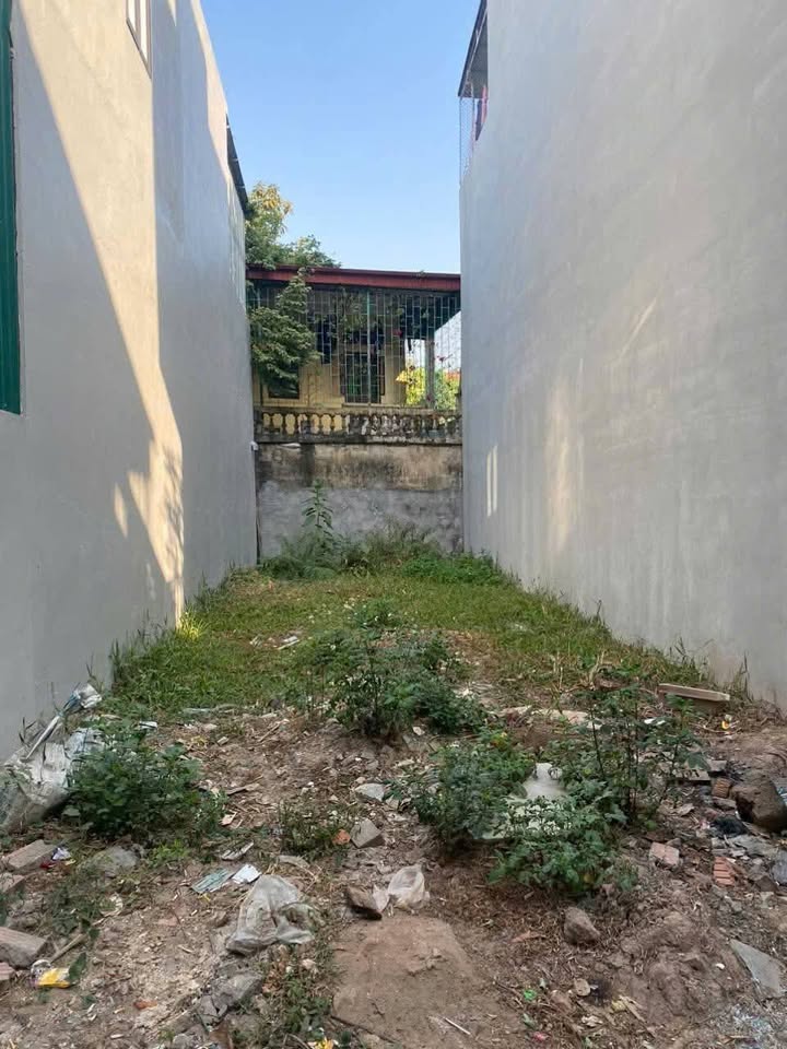 Đất nền Trần Lãm, Thái Bình 68.6m² giá 1.5 tỷ - Chính chủ cần bán gấp!