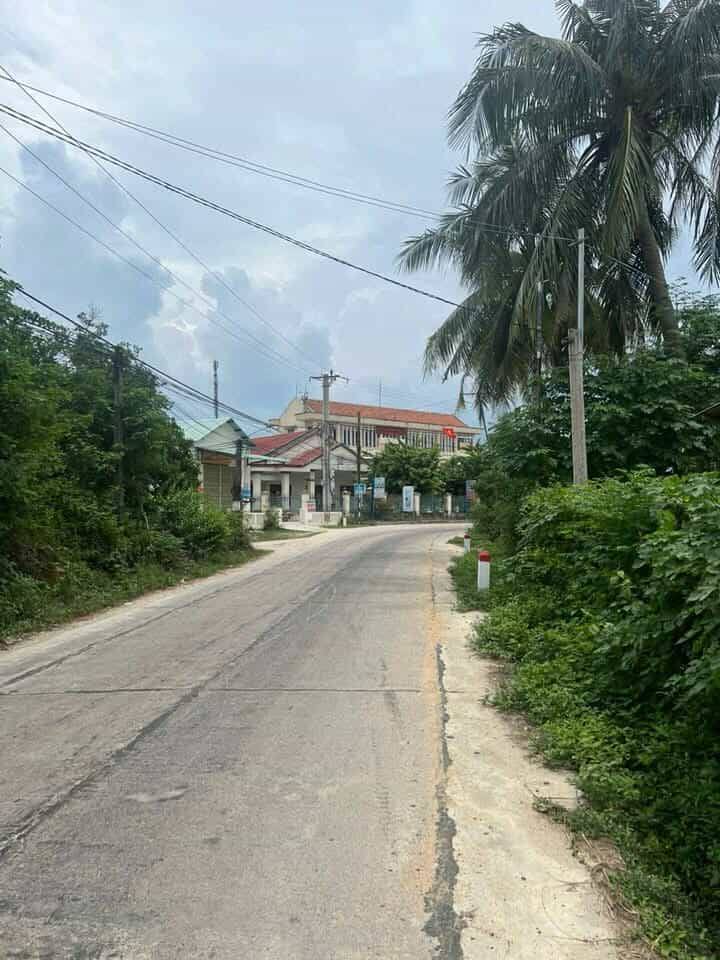 Đất thổ cư tại xã Mỹ Tài, huyện Phù Mỹ 166.9m² - Đường ô tô tới nơi!