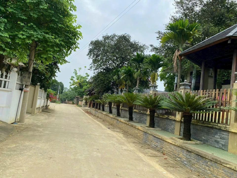 Đất nền Đông Yên Quốc Oai 120m² giá 500 triệu - Cơ hội đầu tư tuyệt vời!