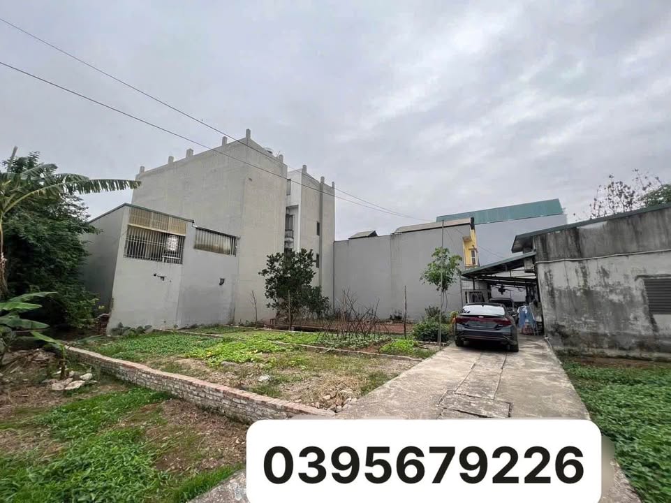 Đất nền Phượng Đồng, Phụng Châu 53m² giá 3 tỷ - Ô tô vào tận nơi!