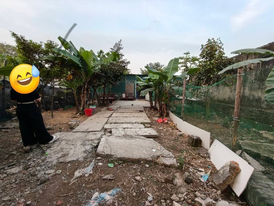 Đất ruộng sản xuất nông nghiệp Kim Chung 243m² giá 1.25 tỷ - Tiềm năng phát triển cao!