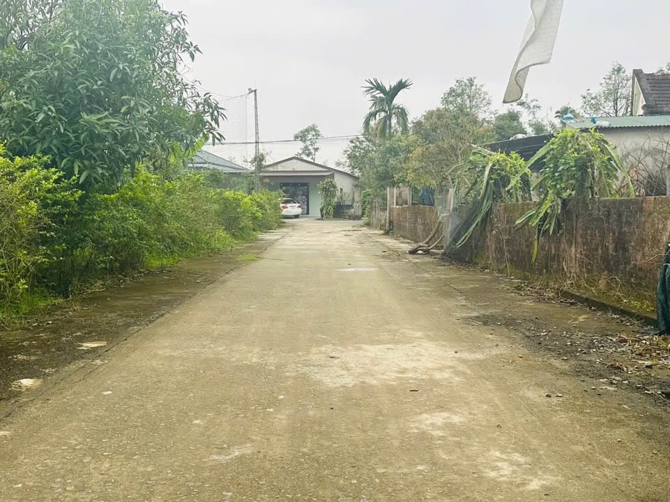 Đất thổ cư thôn Tân An, xã Cẩm Bình 250m² giá 1.6 tỷ - Vị trí đẹp, đầu tư sinh lời!