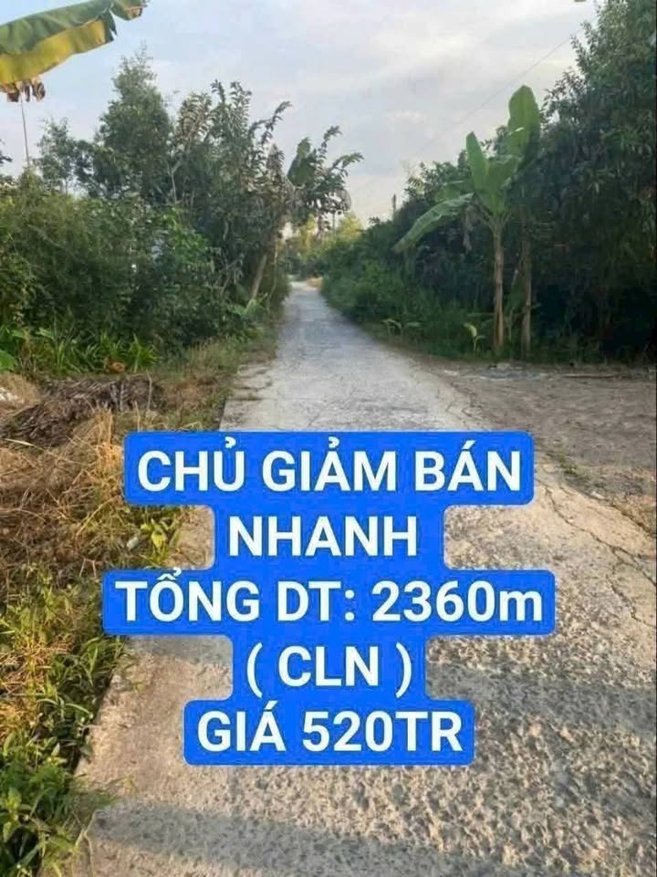 Đất vườn 2360m² xã Vĩnh Thuận Đông, huyện Long Mỹ - Giá 520 triệu - Đầu tư sinh lời!