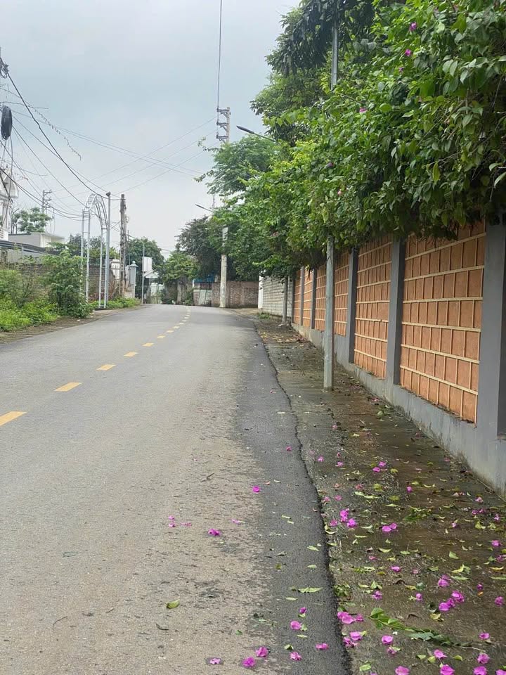 Đất biệt thự Nam Sơn, Sơn Tây 60m² - Giá thỏa thuận, vị trí đẹp!