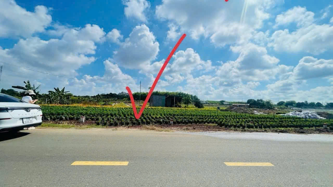 Đất nền xã Phước Long Thọ, Đất Đỏ, 135m² - Sổ đỏ chính chủ, chỉ 950 triệu!