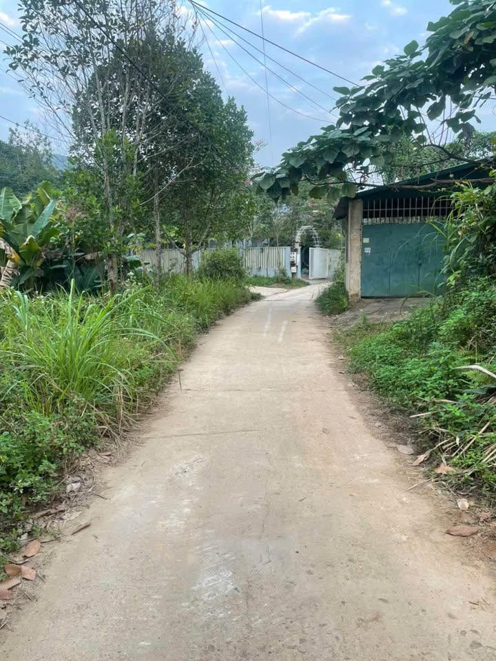 Đất Nông Tiến Tuyên Quang 208m² giá 1.6xx tỷ - Đầu tư lý tưởng!