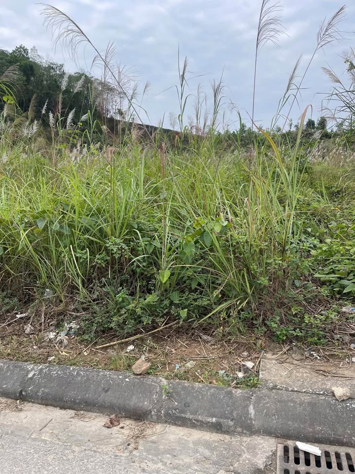 Đất thổ cư Phường Văn Phú 200m² giá 1.7 tỷ - Sổ hồng đầy đủ, thuận tiện di chuyển!