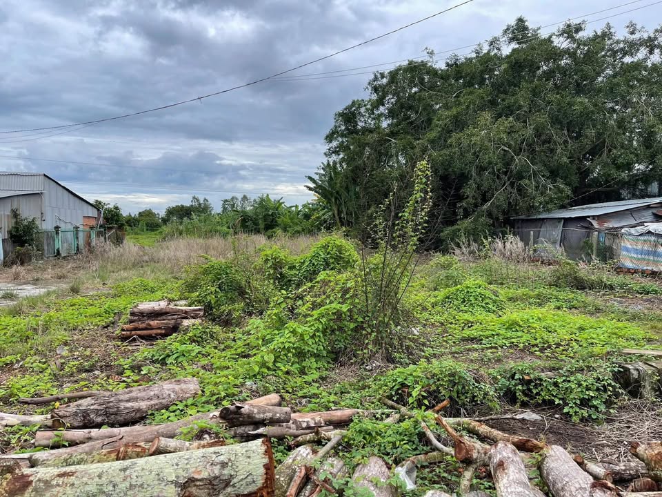 Kho xưởng mặt tiền Quốc lộ 91, Thốt Nốt 3658m² - Pháp lý rõ ràng, giá tốt!