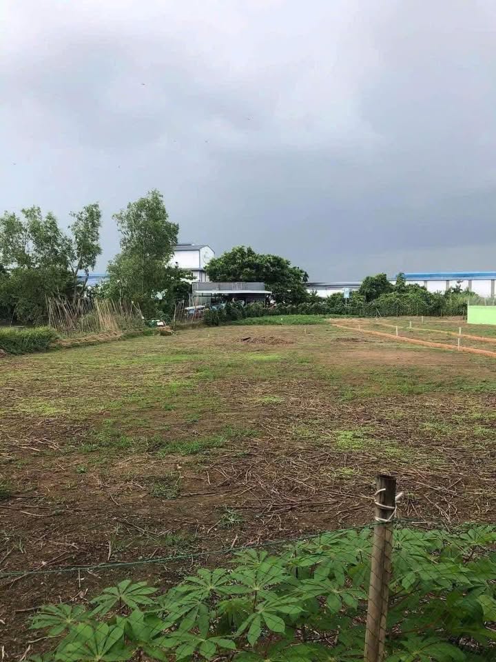 Đất nền KCN Trà Nóc, 289m² giá 950 triệu - Tiềm năng đầu tư lớn!