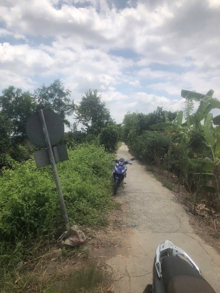 Đất nền Bình Tân Vĩnh Long 19.998m² giá 700 triệu - Đầu tư sinh lời ngay!