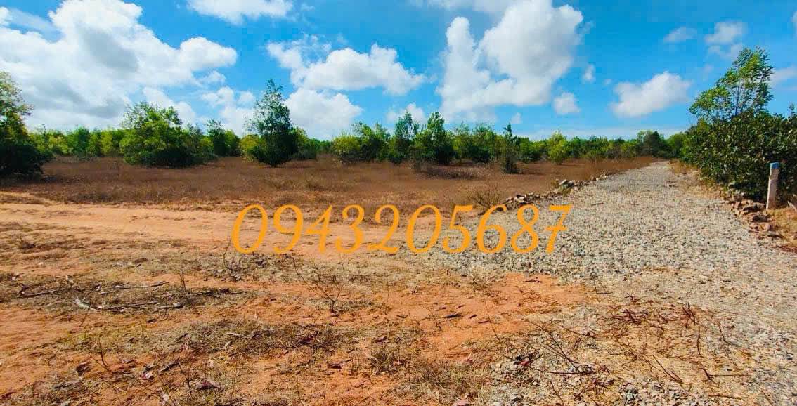 Đất nền Mũi Né - Phan Thiết 22.216m² giá 18.883 tỷ - Cơ hội đầu tư hấp dẫn!