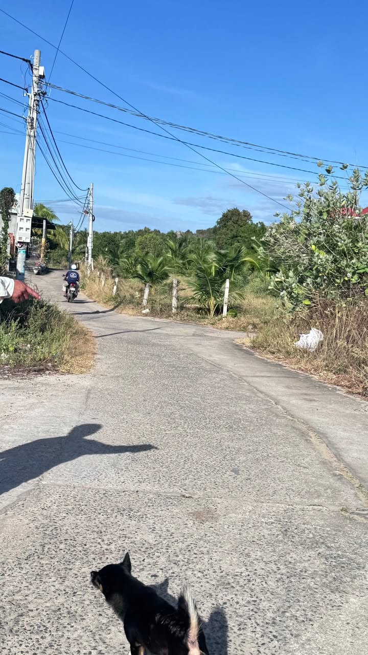 Đất thổ cư 1200m² tại Phan Thiết giá thương lượng - Cơ hội đầu tư hấp dẫn!