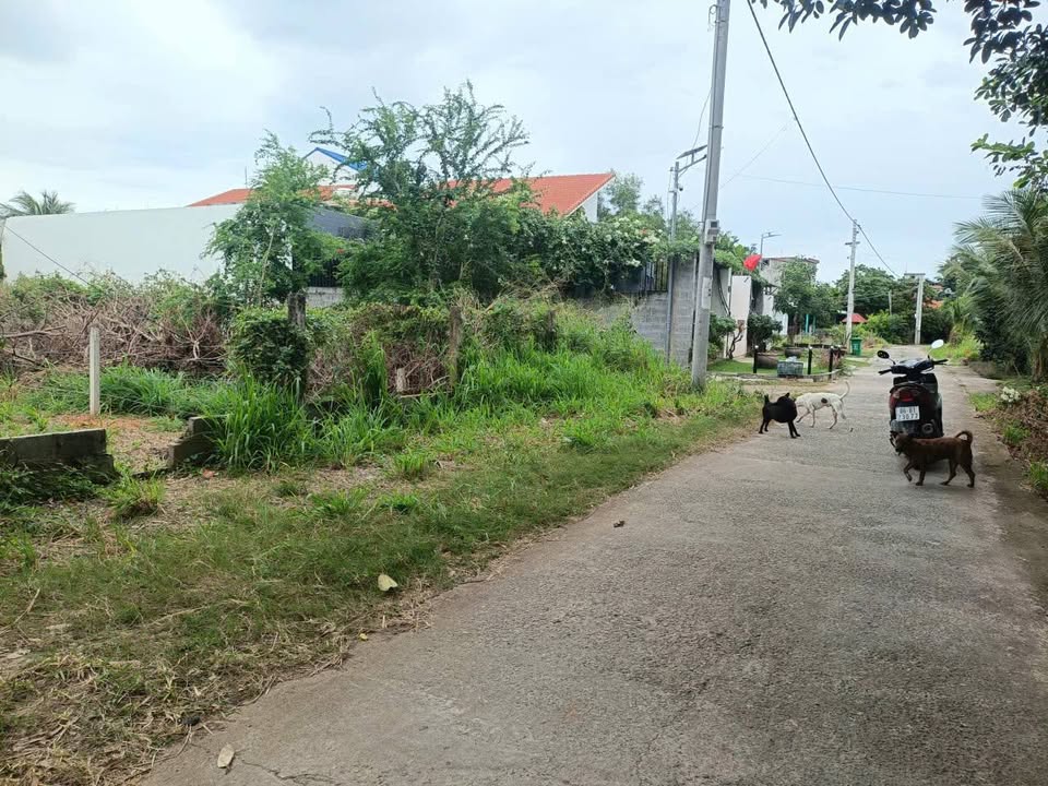 Đất thổ cư 180m² mặt tiền kênh thoát lũ Phường Bình Thuận - Bán gấp chỉ 1.399 tỷ!