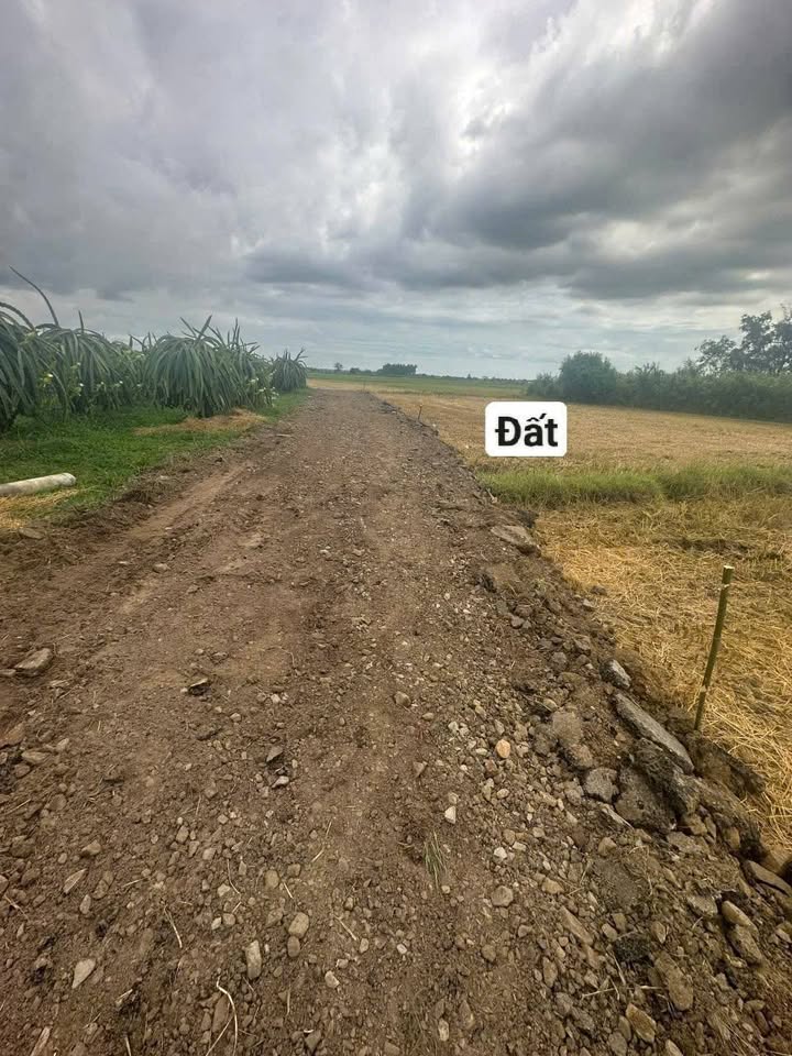 Đất thổ cư Thôn 5 Hàm Liêm 712m² giá 160 triệu - Sổ hồng riêng, cách KCN Phan Thiết 5km!