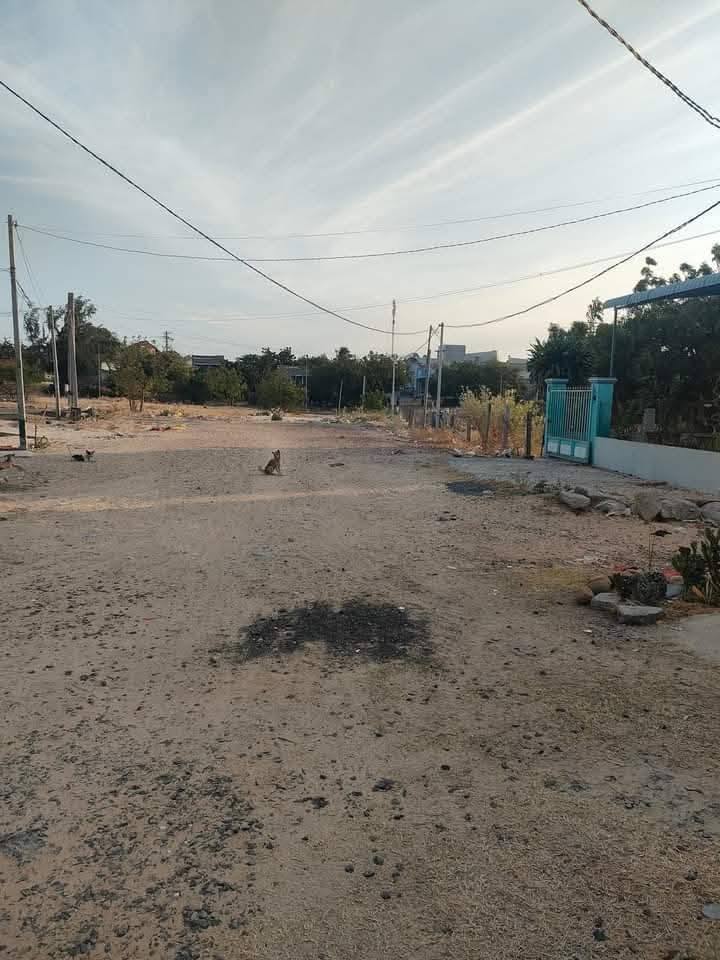 Nhà chính chủ tại Chí Công, Tuy Phong 132m² giá 690 triệu - Dọn vào ở ngay!