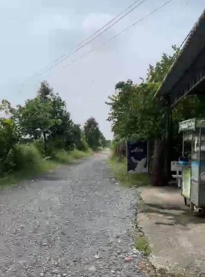 Đất thổ cư 1134m² xã Phước Đồng, Cần Đước giá 4.5 tỷ - Đầu tư sinh lời ngay!