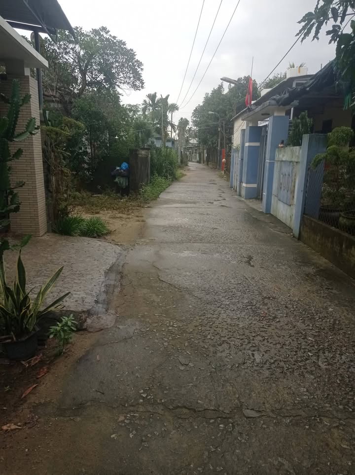 Lô đất Trường Xuân Tam Kỳ 100m² giá 900 triệu - Đầu tư sinh lời ngay!