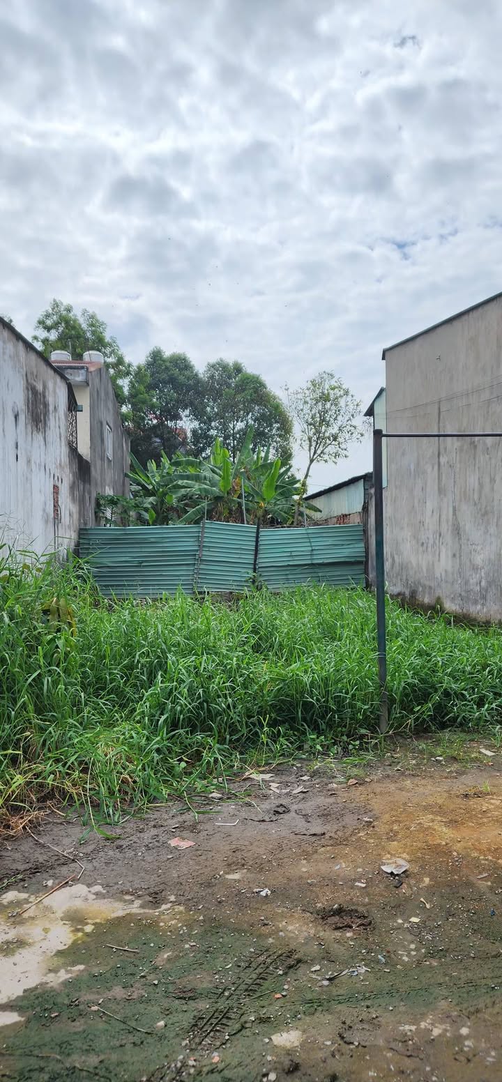 Đất nền 136m² xã Vĩnh Lộc, Bình Chánh - Chính chủ bán gấp!