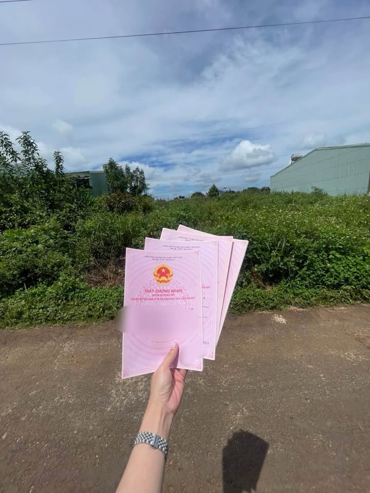 Đất nền mặt tiền Đặng Thái Thân, Biển Hồ 150m² giá từ 600 triệu - Cơ hội đầu tư tuyệt vời!