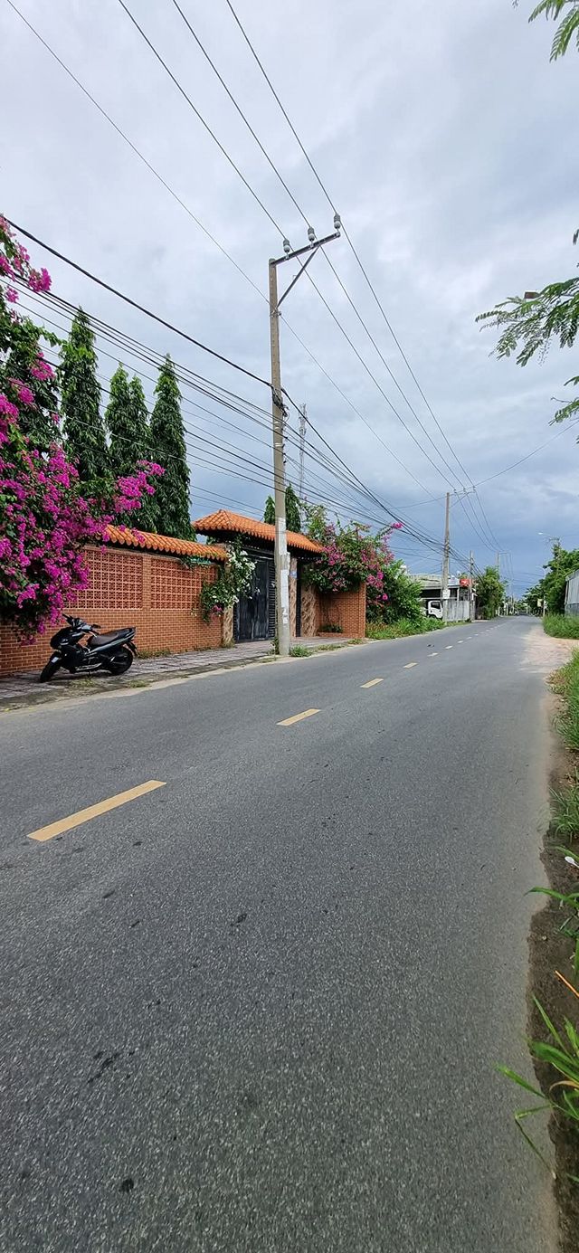 Đất mặt tiền Nguyễn Gia Thiều Vũng Tàu 1000m² giá 11 tỷ - Sổ riêng sang tên ngay!