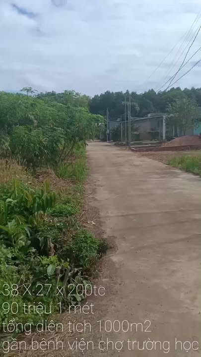 Đất nền Tiến Thành Đồng Xoài 1000m² giá 90 tỷ - Lô góc 2 mặt tiền thuận lợi!