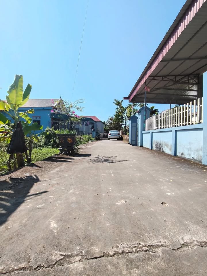 Đất nền thôn Đắc Trí, Yên Định 114m² giá 500 triệu - Vị trí đẹp, giao thông thuận lợi!