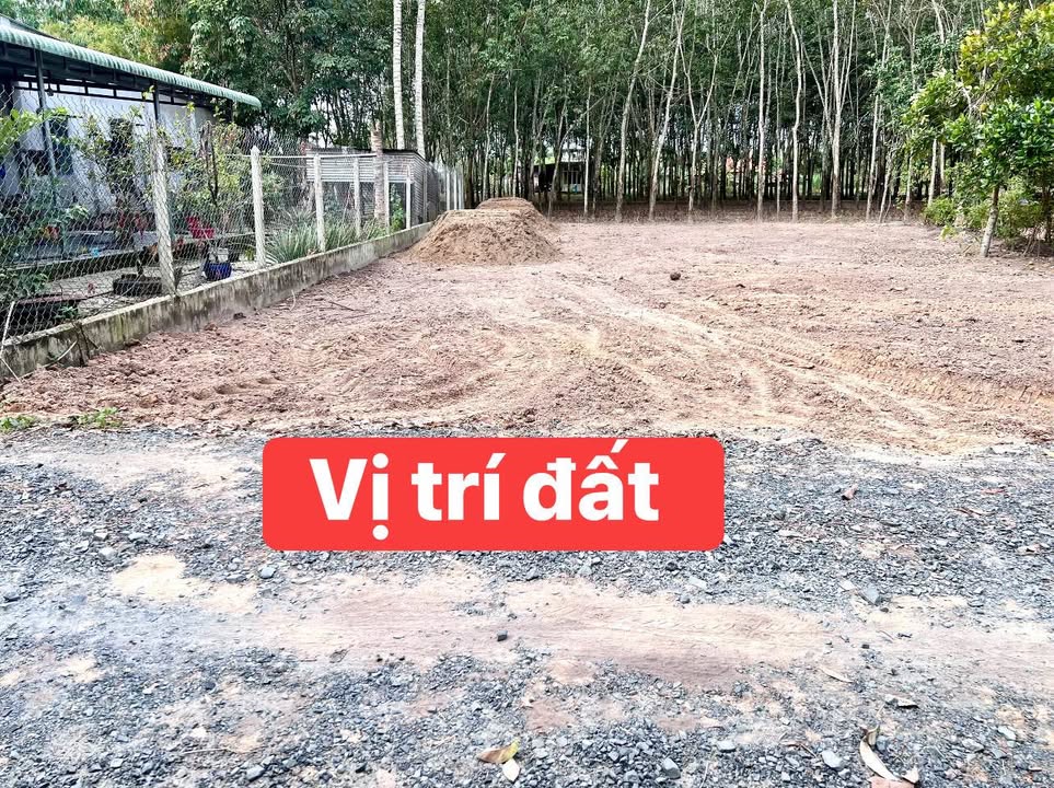 Đất nền Hiệp Thạnh, Gò Dầu 1500m² giá chỉ 400 triệu - Đầu tư sinh lời ngay!