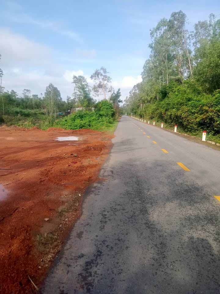 Đất thổ cư Phường Mỹ Lợi, Phù Mỹ 132m² - Tiềm năng kinh doanh tuyệt vời!