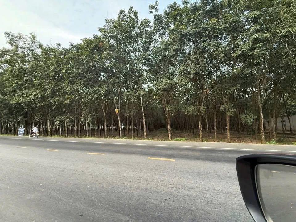 Đất nền Chánh Phú Hòa Bến Cát 27.000 m² giá 5,9 triệu/m² - Cơ hội đầu tư hiếm có!