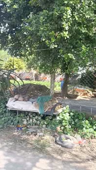 Đất nền Hà Đông Thanh Khê 102.8m² giá 1.2 tỷ - Đầu tư sinh lời ngay!