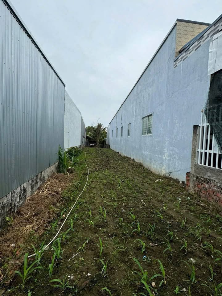 Đất nền thổ cư Phú Hòa 149m² giá 600 triệu - Đường xe ô tô vào tận nơi!