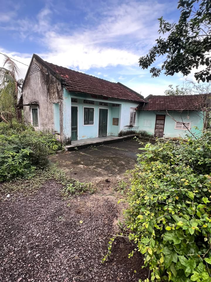 Đất nền Cát Hanh, Phù Cát 600m² - Sổ đỏ chính chủ, giá hấp dẫn