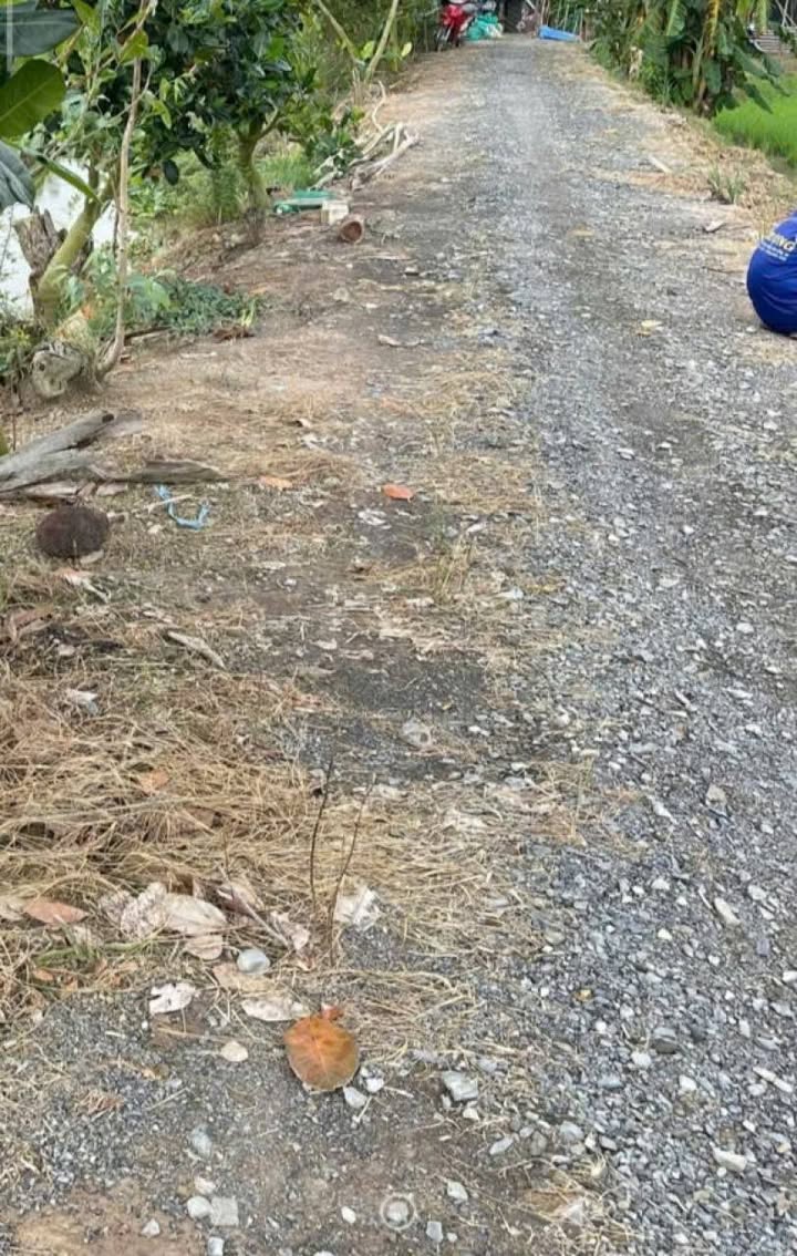 Đất lúa 1045m² tại Mỹ Trà, Cao Lãnh giá 370 triệu - Thương lượng trực tiếp chính chủ!