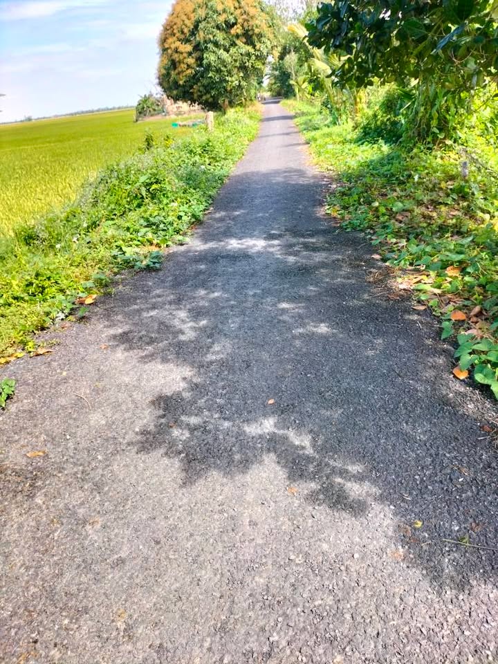 Đất nông nghiệp 190 công Hưng Thạnh Tháp Mười giá chỉ 24.65 tỷ - Cơ hội đầu tư tuyệt vời!