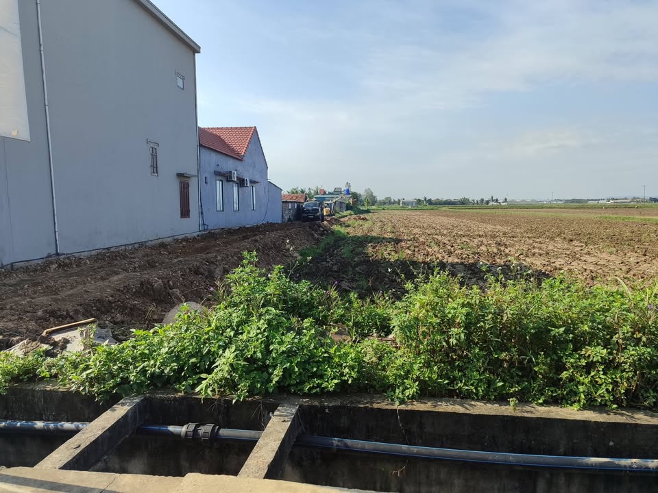 Đất nền tại Nga An, Nga Sơn 100m² giá 800 triệu - Tiềm năng đầu tư cao!