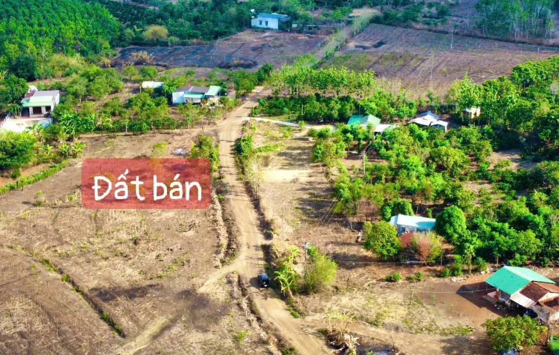 Đất nền Ea Kiết, Cư M'gar 1.000m² giá 165 triệu - Cơ hội đầu tư tuyệt vời!