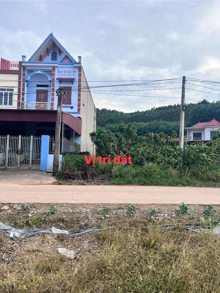 Đất nền Lục Nam - 250m² giá 800 triệu - Mặt tiền 5m, cơ hội đầu tư hấp dẫn!