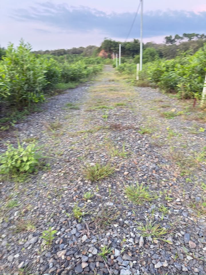 Đất nền Định Quán 500m² giá 550 triệu - Sổ hồng chính chủ, vị trí đẹp!