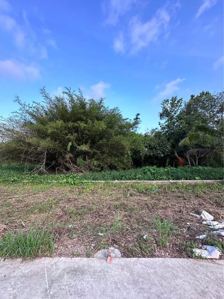 Đất thổ cư Ninh Kiều, Cần Thơ 50m² giá 1.1 tỷ - Vị trí vàng gần ĐH FPT!