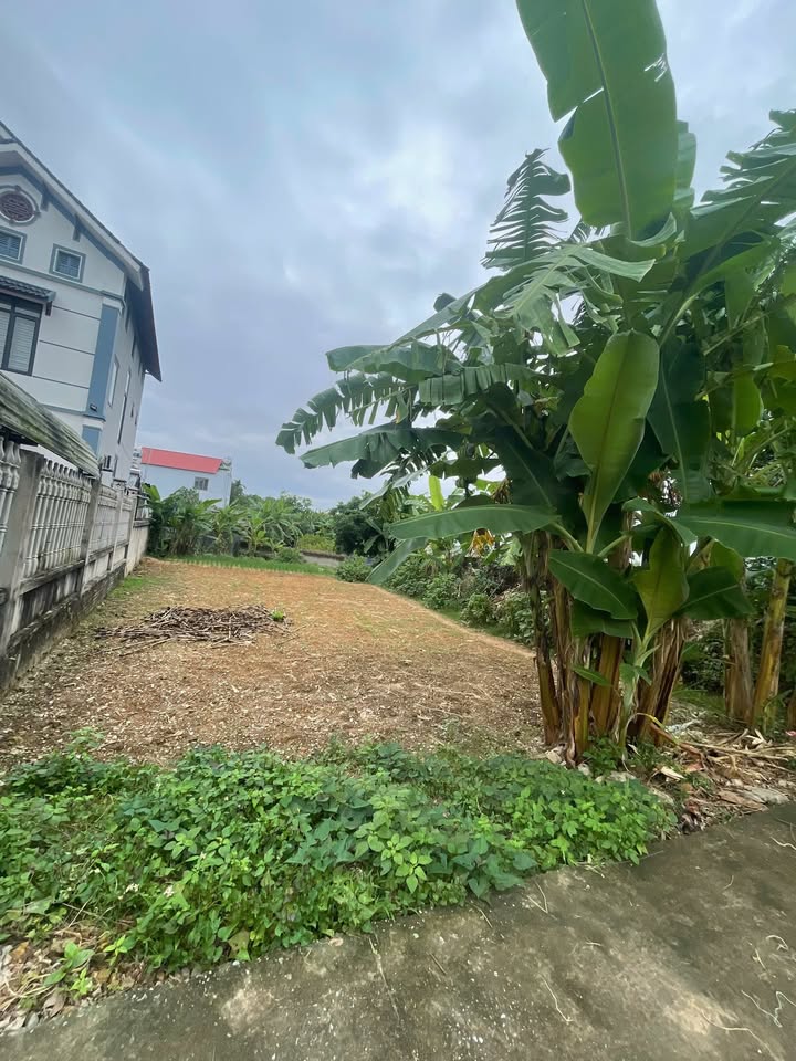 Đất nền chính chủ Trung Thành, Phổ Yên 150m² giá 1 tỷ - Đầu tư sinh lời ngay!