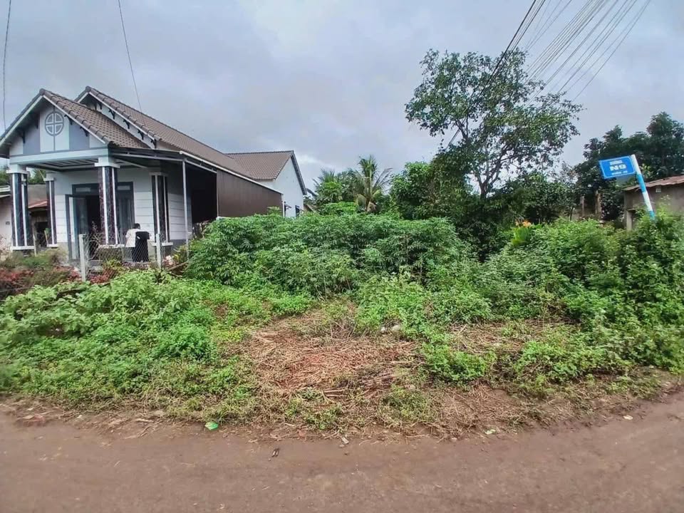 Đất 2 mặt tiền đường D9 Tân An, 300m² giá 2.8 tỷ - Đầu tư sinh lời tuyệt vời!