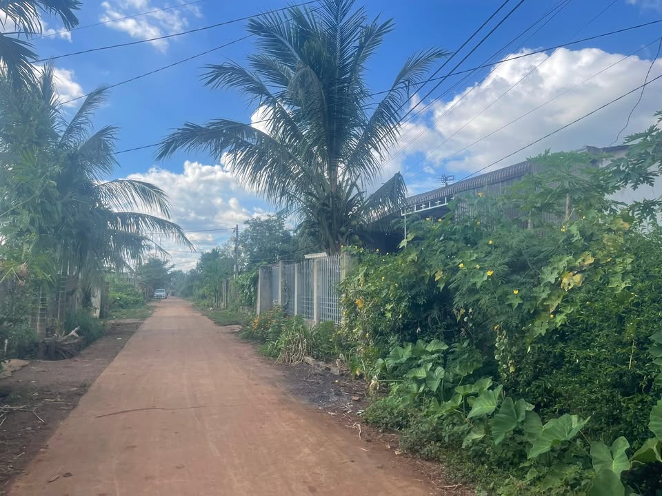 Đất thổ cư 132m² tại Cư M'gar giá chỉ 600 triệu - Đầu tư sinh lời hấp dẫn!