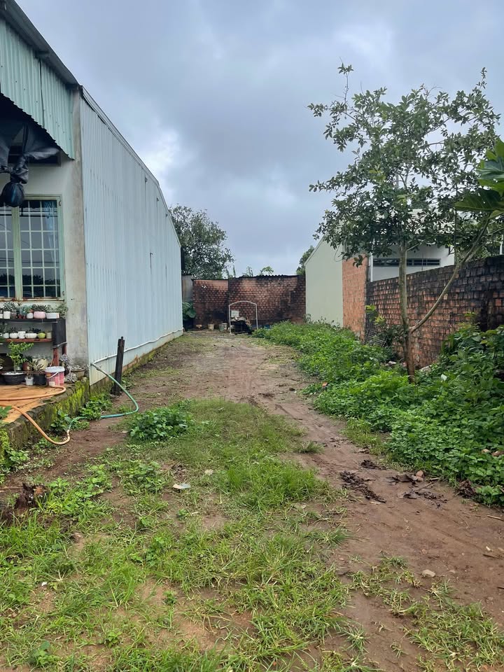 Đất thổ cư 300m² tại hẻm 04 Hoàng Sa, phường Diên Hồng - Giá hợp lý, vị trí yên tĩnh!