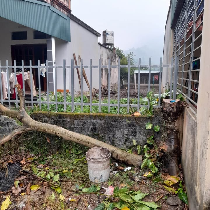 Đất nền phường Nông Tiến Tuyên Quang 138m² giá 800 triệu - Vị trí đẹp ô tô đỗ cửa!