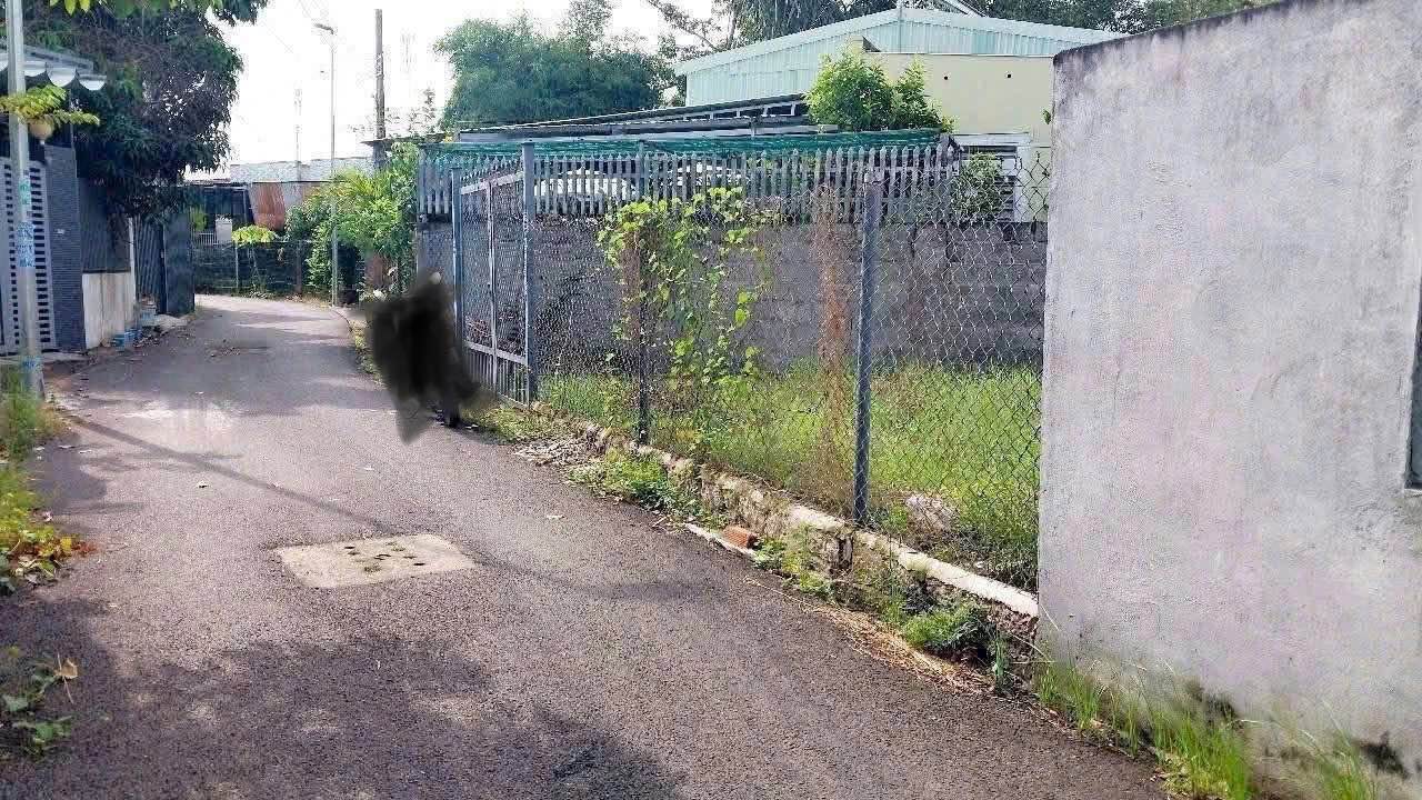 Đất nền Nguyễn Văn, Long Điền, 178m² giá 1.55 tỷ - Cơ hội đầu tư hấp dẫn!