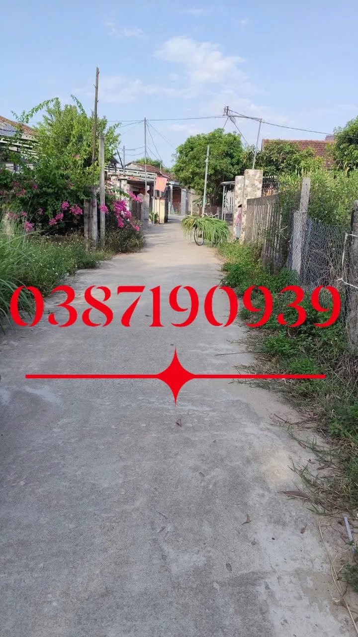 Đất nền Bình Thạnh, Bình Sơn, Quảng Ngãi 135m² giá 450 triệu - Đầu tư sinh lời ngay!
