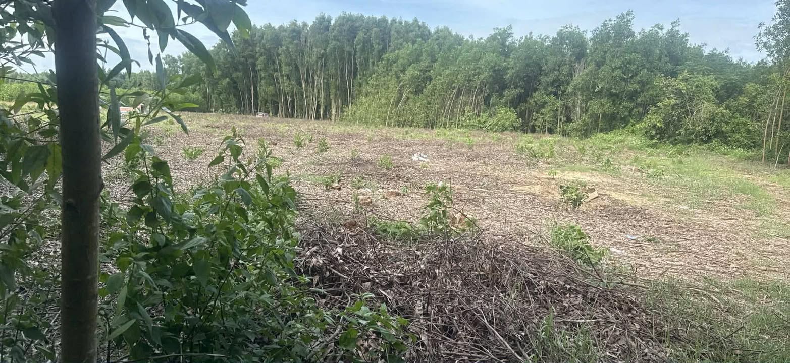 Đất nền 1700m² tại Phổ An, Đức Phổ - Cơ hội đầu tư hấp dẫn gần biển Dung Quất!